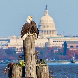 Meet your Posher, Rick